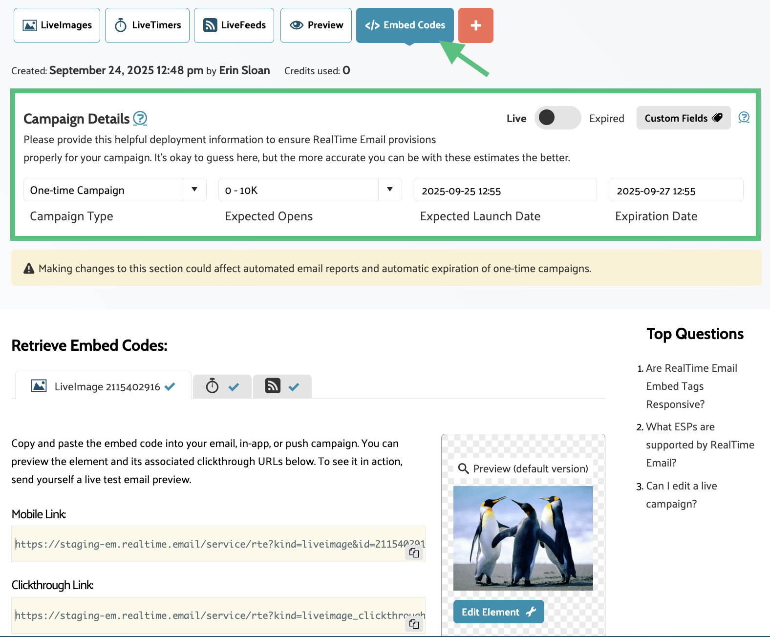 The full embed code screen with the campaign details section highlighted